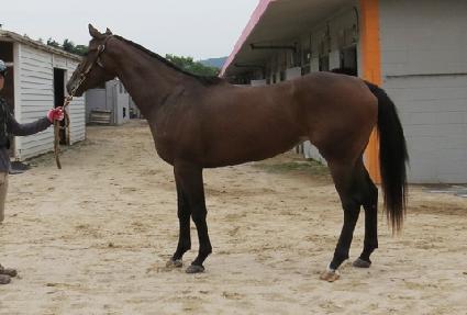 �츮�� ����