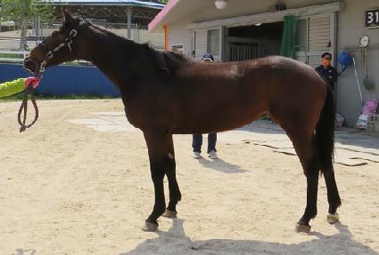 ���̾�Ʈ�Ƶ� ����