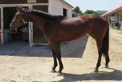 ������� ����