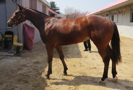 �������� ����