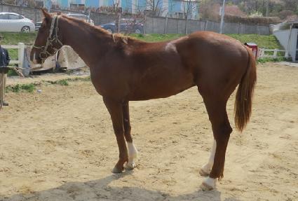 ���̿� ����