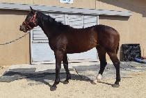 SAVE THE WORLD picture