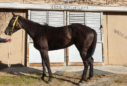 �����ǽ� ����