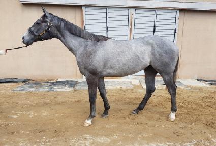 �̽����Ѽ� ����