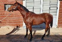 TRIPLE STORM picture