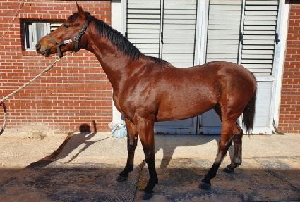 Ʈ���ý��� ����