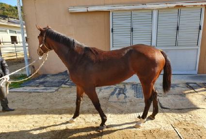 ���ֿ÷��� ����