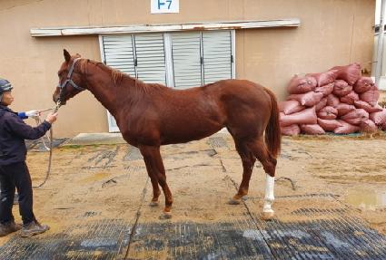 ũ�����м� ����