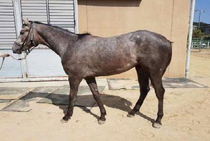 ��������� ����