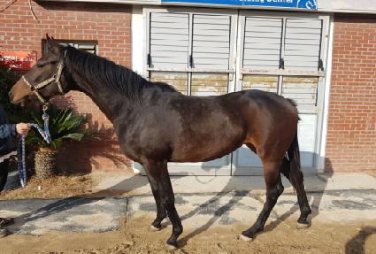 ��ô���� ����