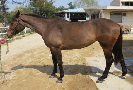 ���Ÿ��ο� ����