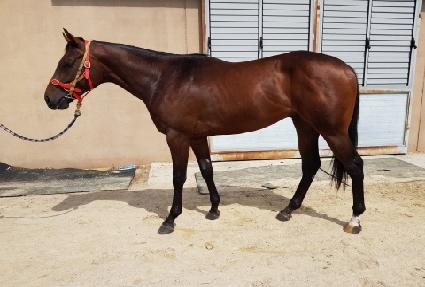 ũ�γʽ� ����