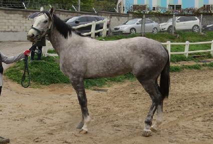 ȭ��Ʈ�� ����