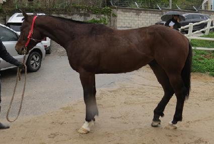 ������ ����