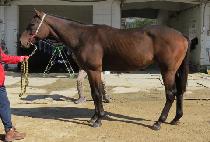 ���彺ī�� (WIND SKY) ����