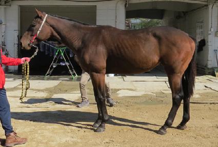 ���彺ī�� ����