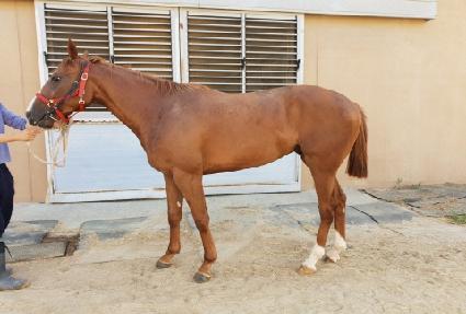 �������갫 ����