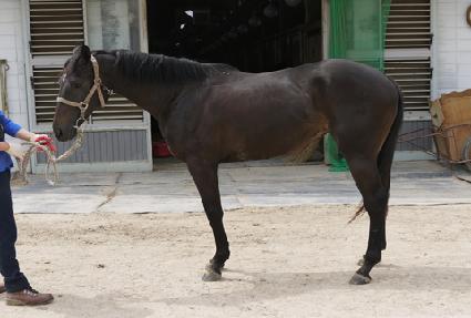 ����ĵ�� ����