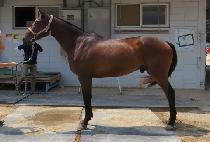 ��Ƽ�� (ACTIMON) ����