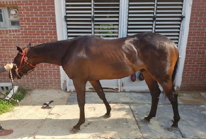 ���ĳ��Ż ����