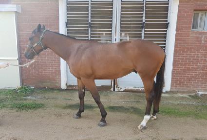 ���ٺ� ����