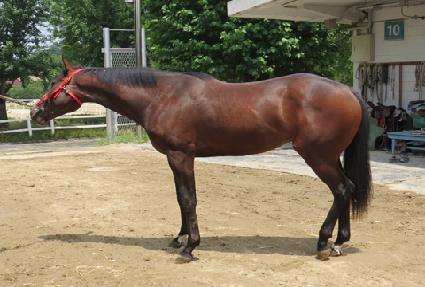 ������ ����