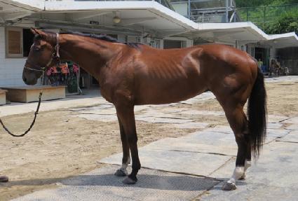 �������� ����