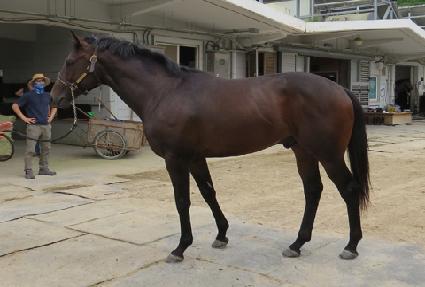 �������� ����