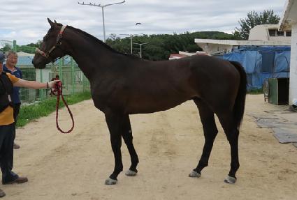 ���ƴϰ� ����