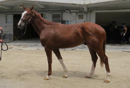 ��Ʈ����ġ ����