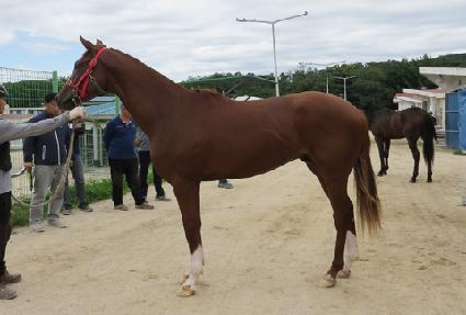 Ȳ�ݻ��� ����