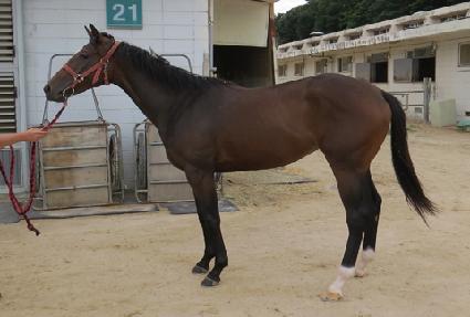 ���ݾ����� ����