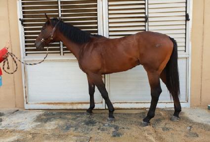 ���ô�Ҳ� ����