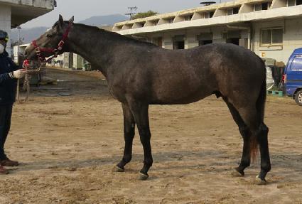 �м����� ����