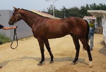 �ȶ����� (PALA STAY) ����