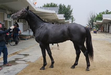 �˸��ٹٸ��� ����