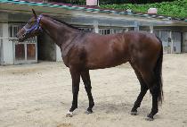 �¼��� (GOOD SENSE) ����