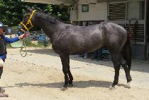 ���о����� (MUNHAK TSUNAMI) ����