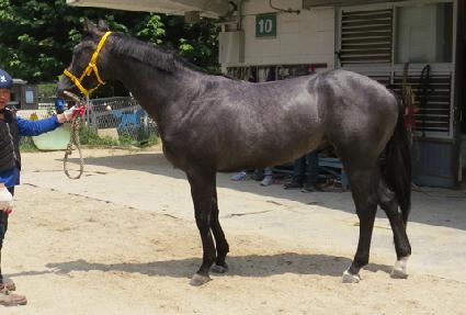 ���о����� ����