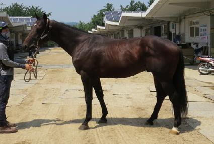 ��õ���ǵ� ����