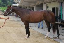 �뱺õ�� (DAEGUN CHEONHA) ����