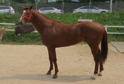 �뱺��â ����