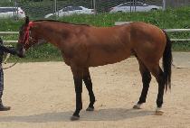 �뱺���� (DAEGUN JEPAE) ����