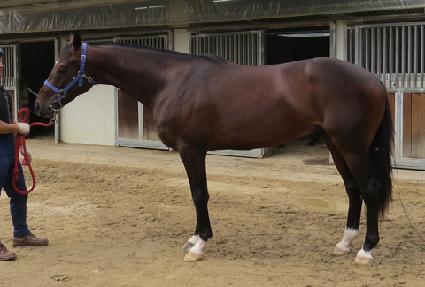 �뱺�ϰ� ����