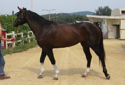 �뱺�ǲ� ����