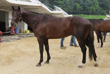 �뱺���� ����