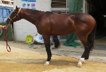 �뱺�Ǳ� (DAEGUNUI GIL) ����