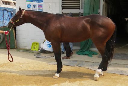 �뱺�Ǳ� ����