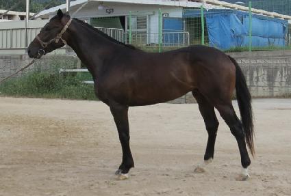 ȯ��Ÿ ����