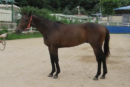 ��ġĸƾ ����